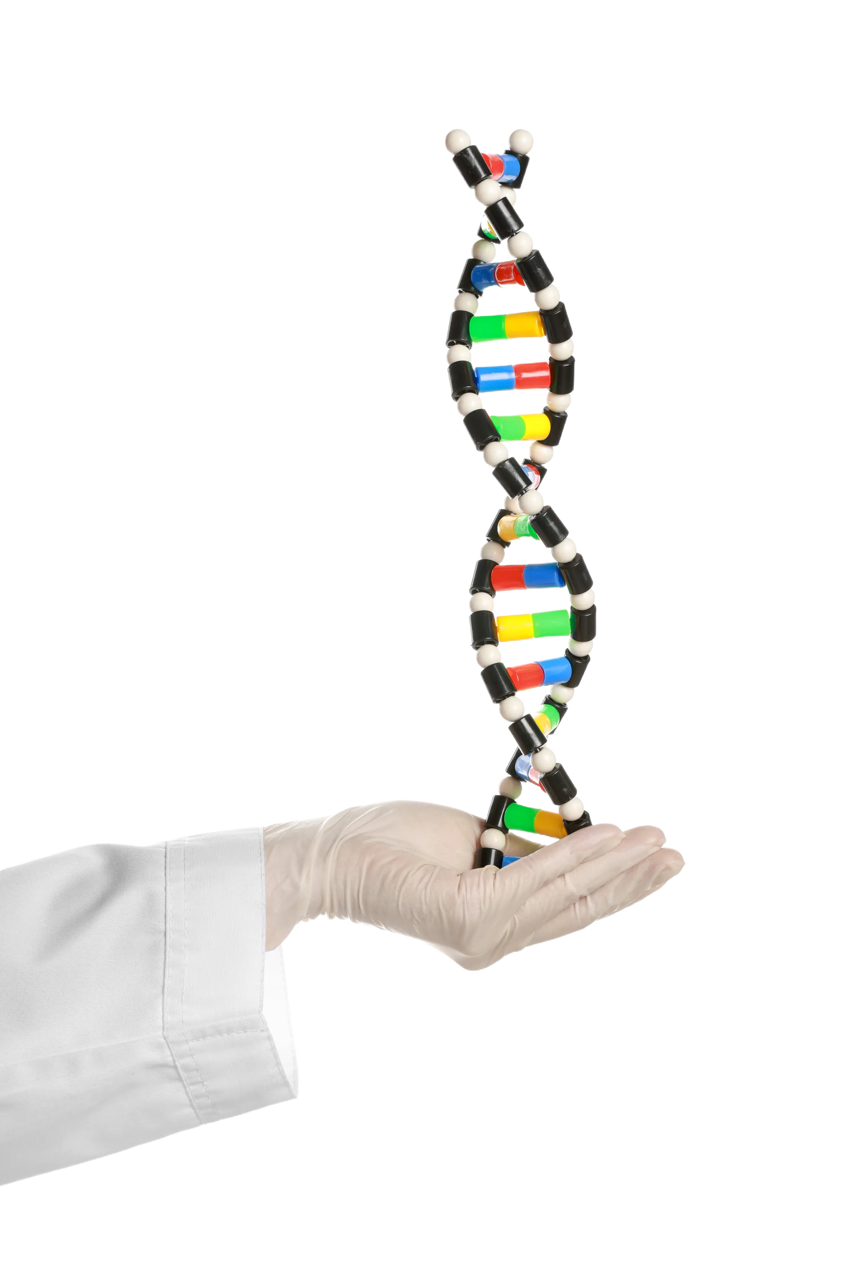 MVN Studio Website Mockup