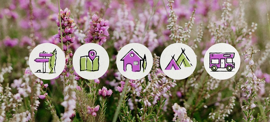 Fünf illustrierte Camping-Icons im rauen Outlinestil, gestaltet für den Campingpark Lüneburger Heide. Das Icon Design zeigt Wegweiser, Karte, Haus, Zelt und Wohnwagen vor einem Hintergrund aus Heideblüten.