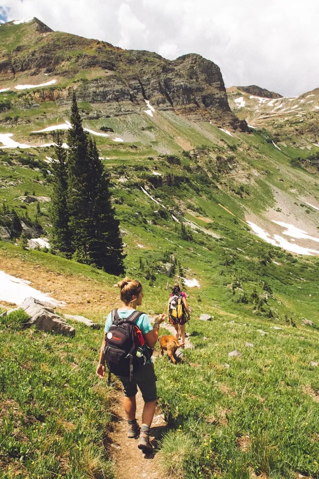 Hiker with a backpack walking through a sunny meadow with another hiker and a dog ahead