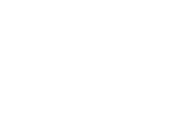 TikTok Logo