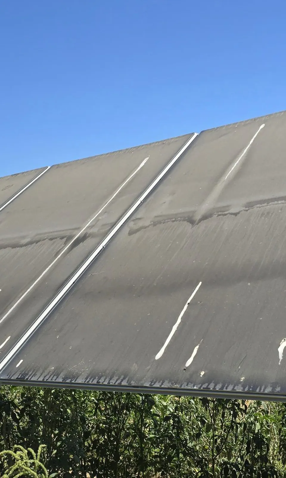 Ground-mount solar row covered in dust and droppings before a wash