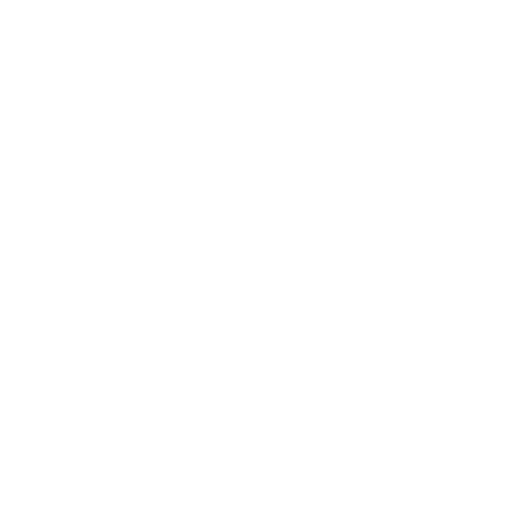 Swiss visa and immigration icon