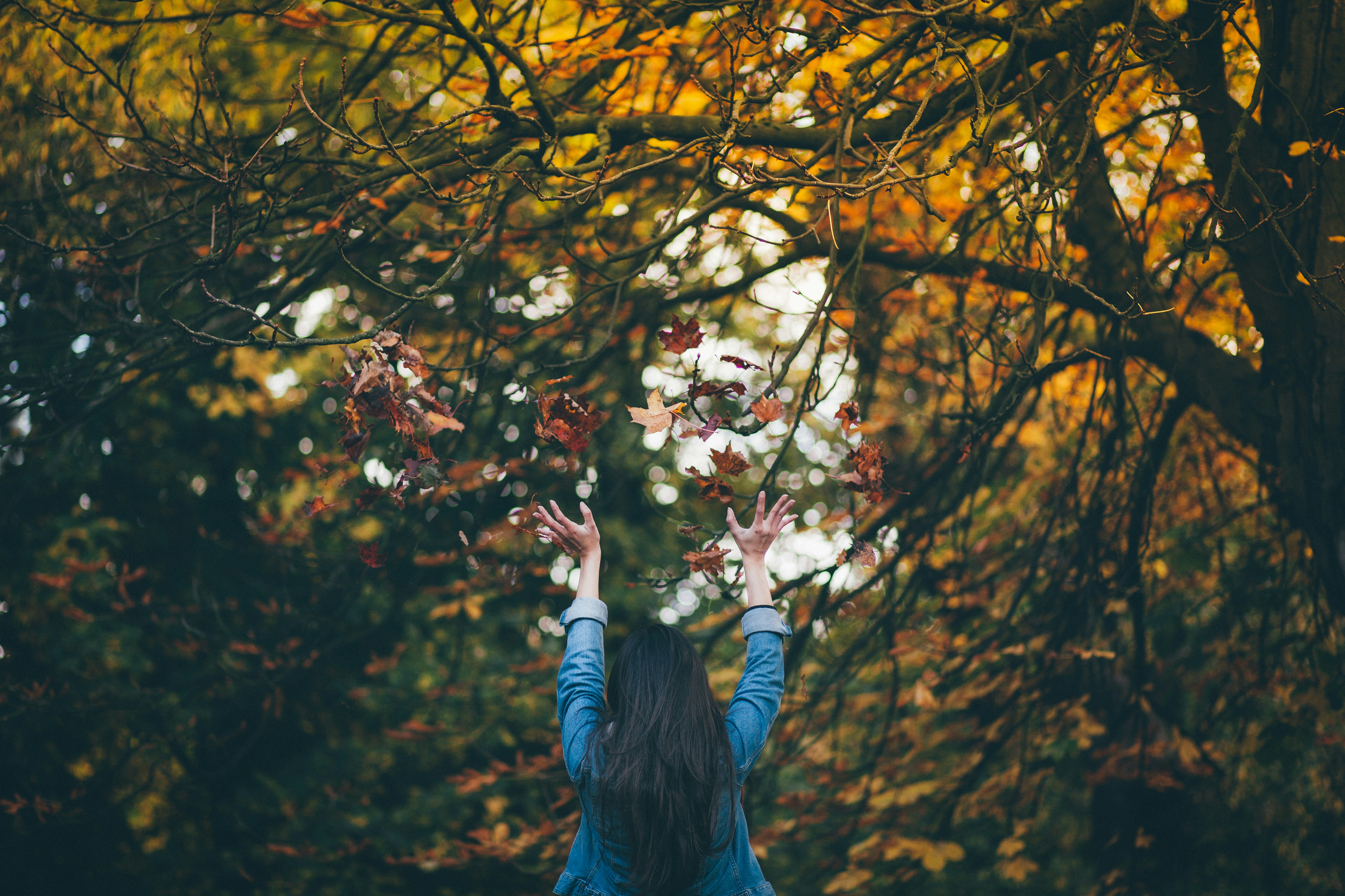 woman in a random forrest - seasonal color analysis