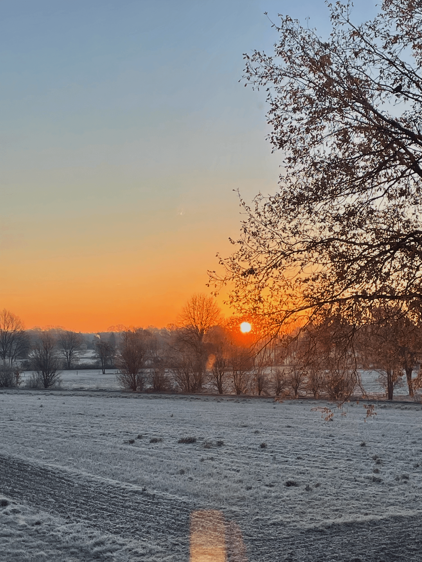 low angle view of a building