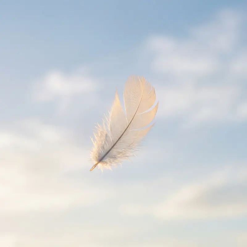 She Was Always Meant to Fly