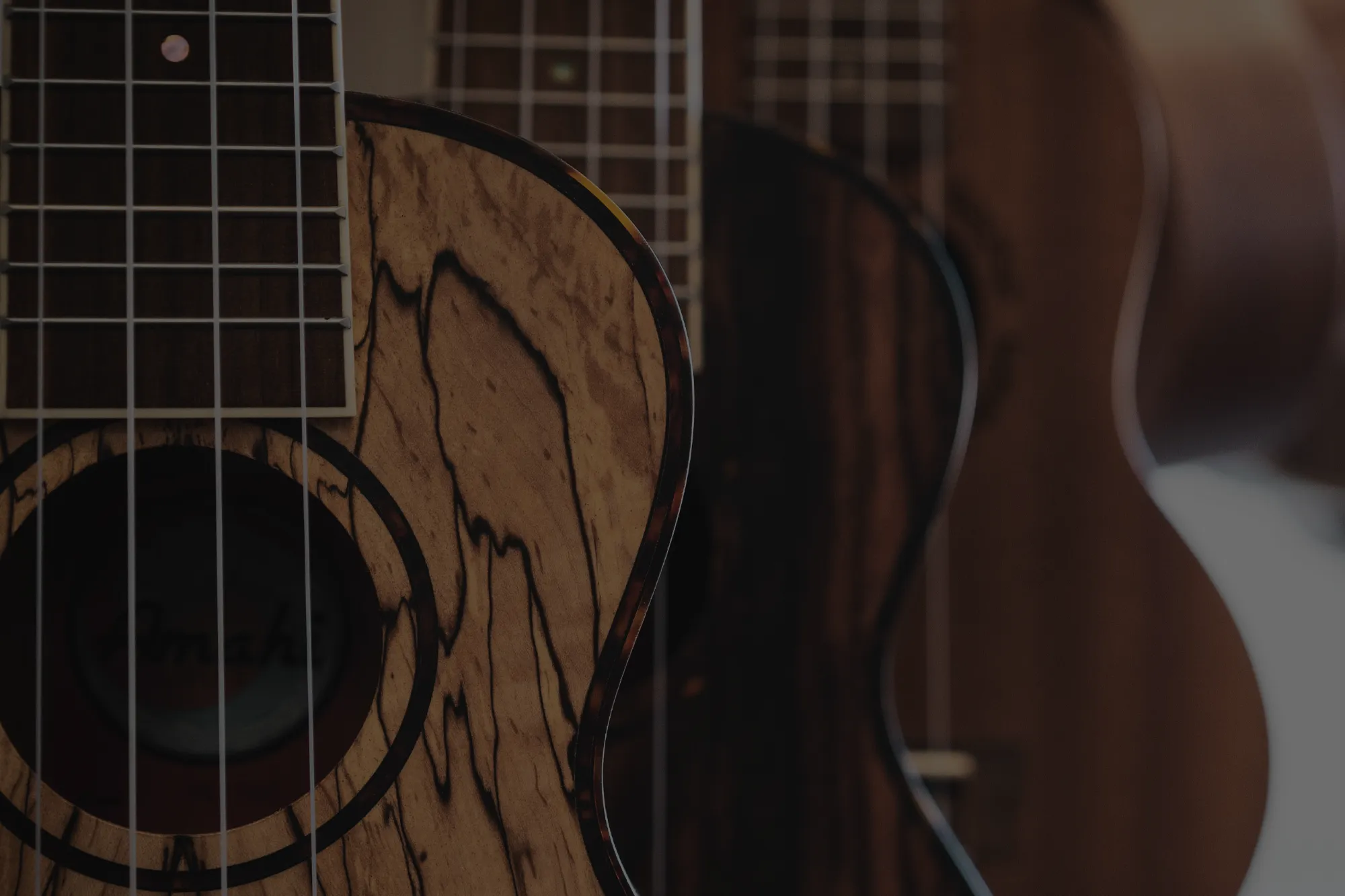Gary's Guitars, new & used other stringed instruments
