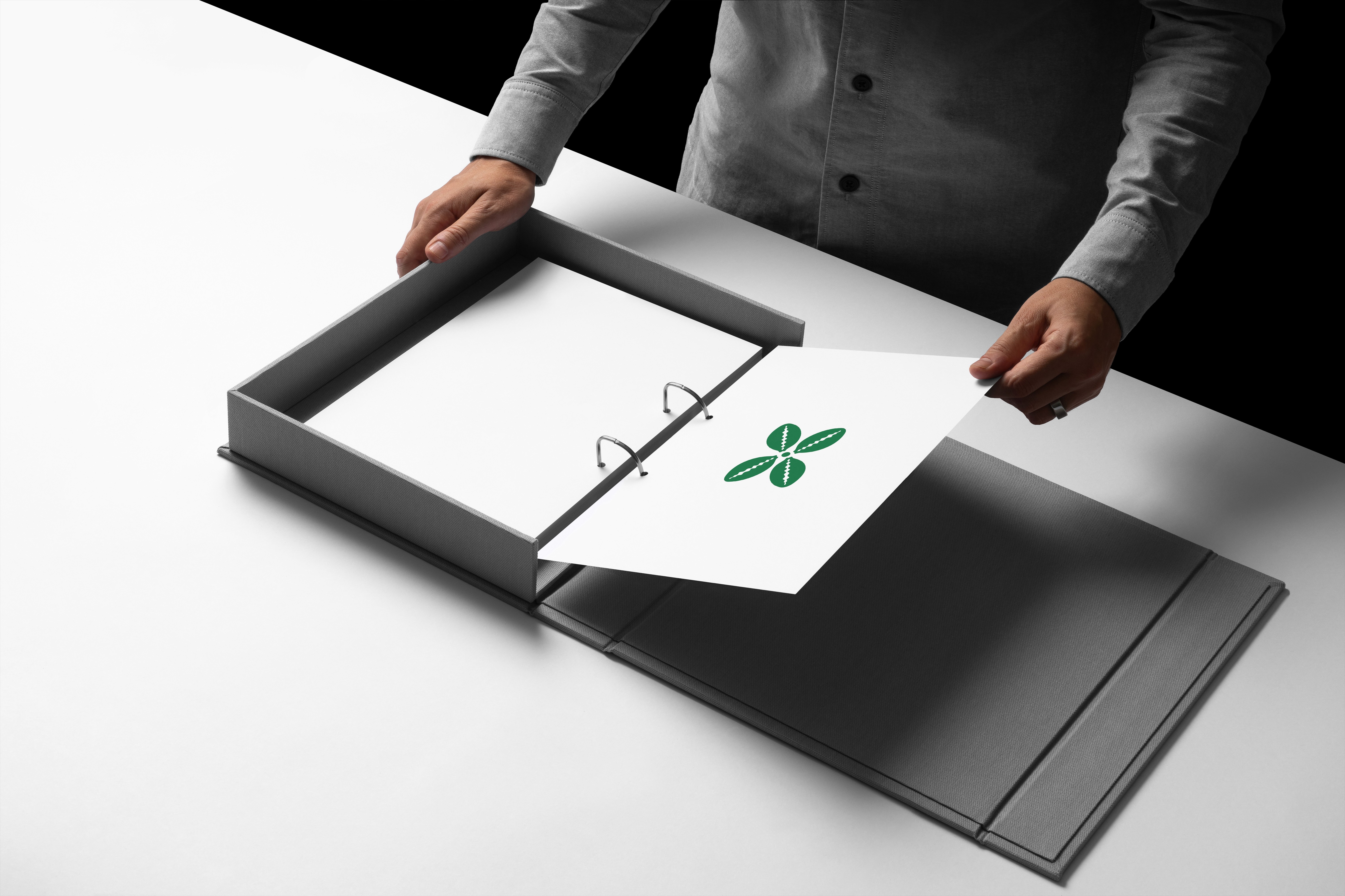 Trybepay logo preview tablet