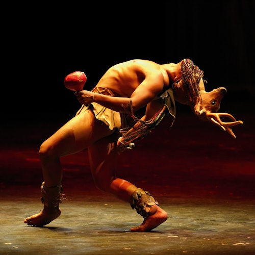 墨西哥民俗芭蕾舞（包括VIP門票 + 交通）在墨西哥城的票