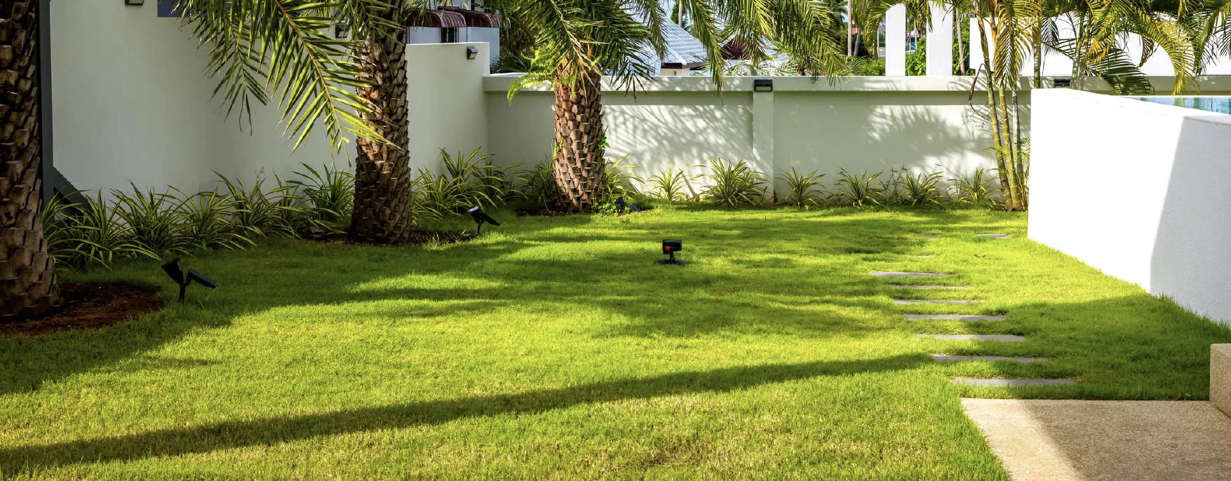 Oplocená zahrada bílou stěnou se zelenou trávou a palmami