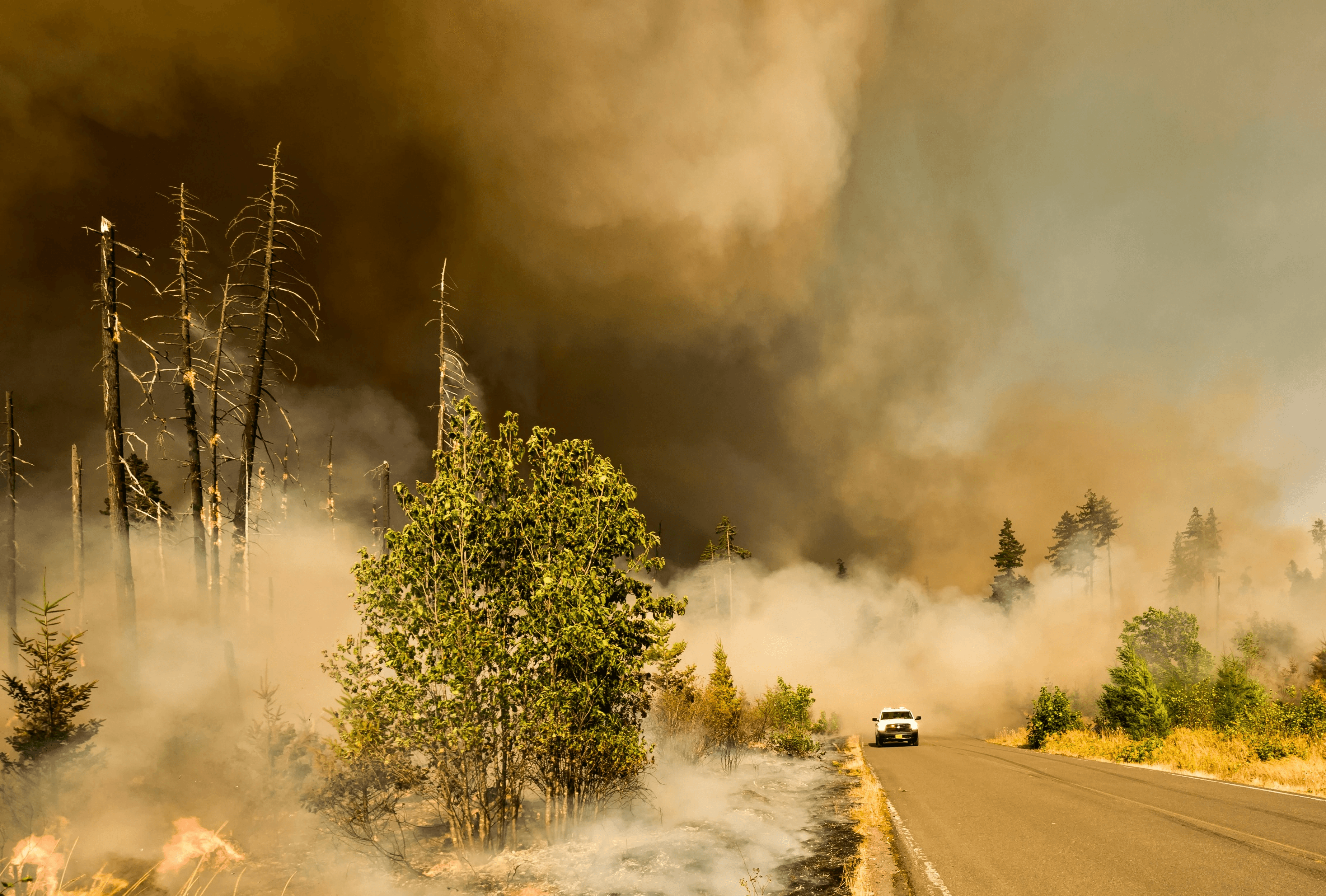 vehicle driving past wildfire