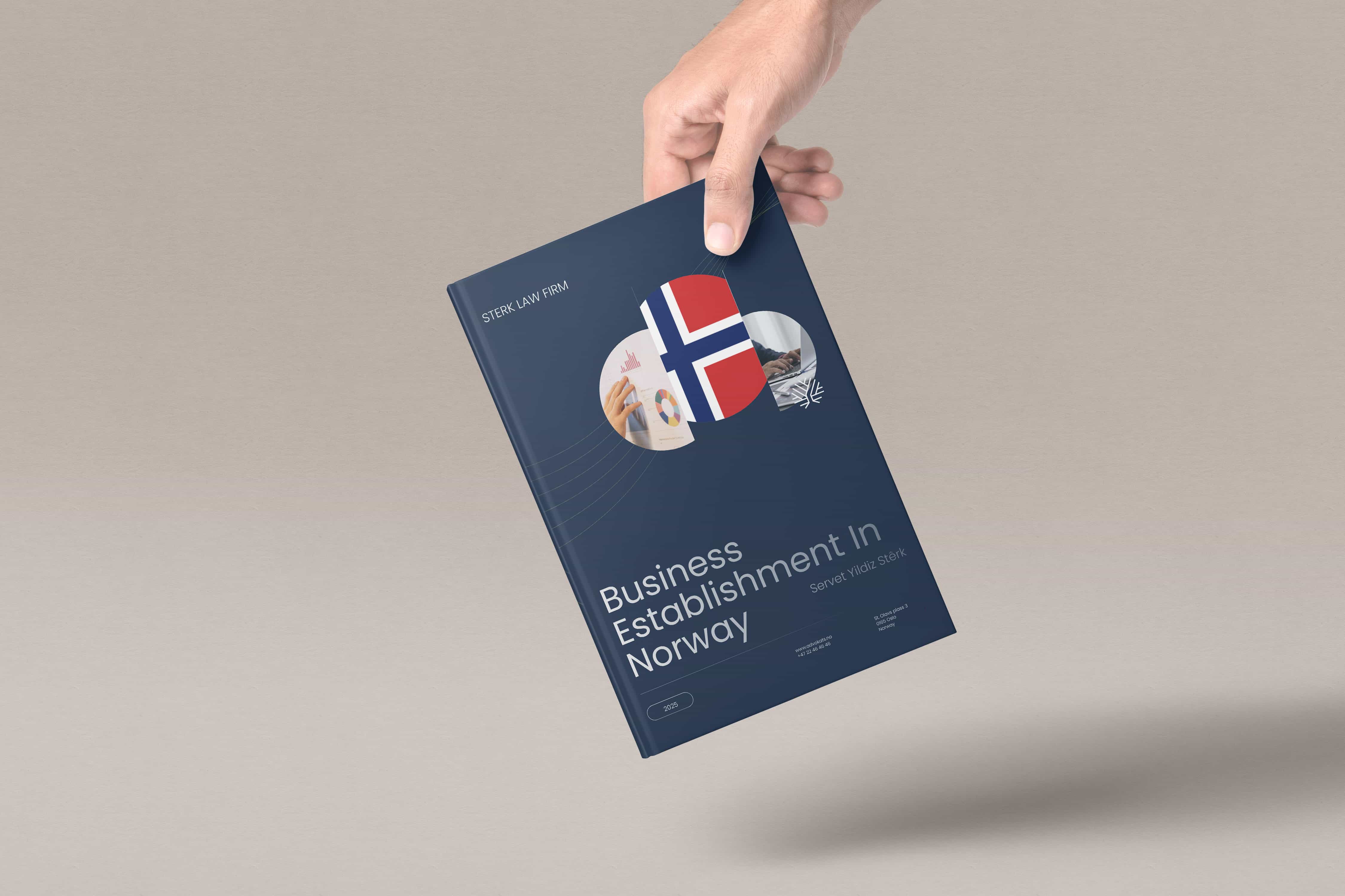 Understanding Business Entities in Norway