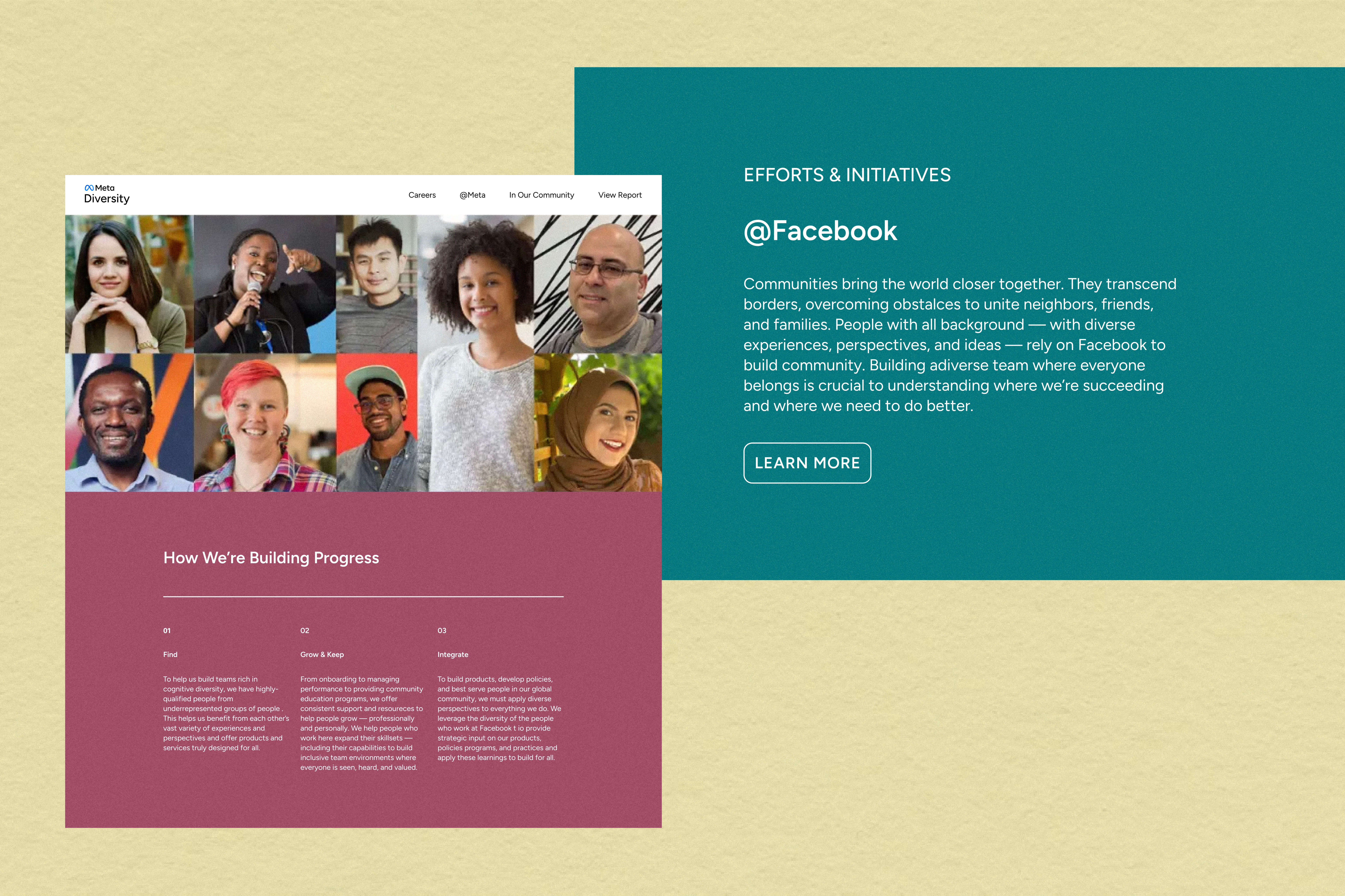 Screenshots from the Meta Diversity website