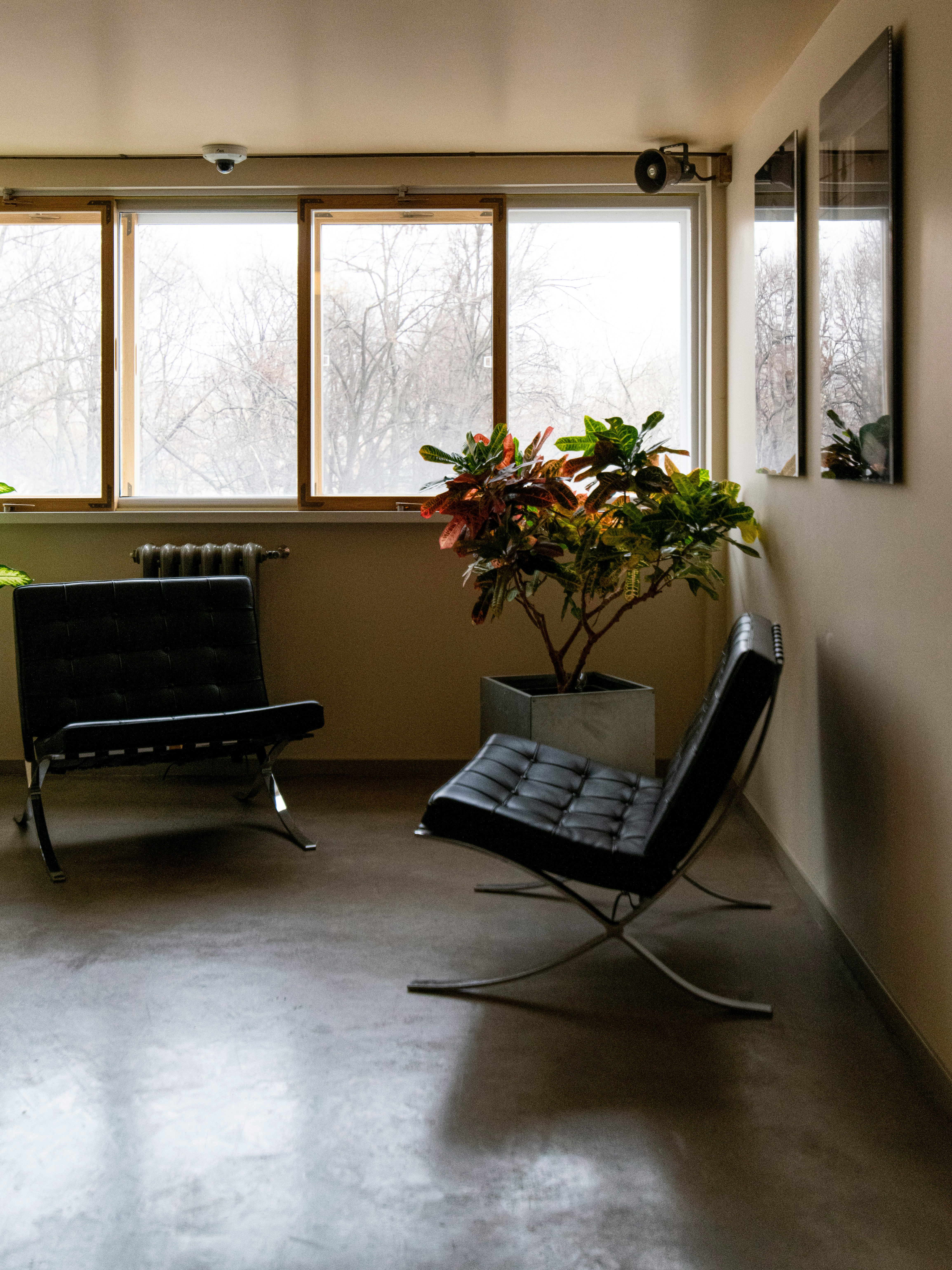 Modern chairs sit next to a window.