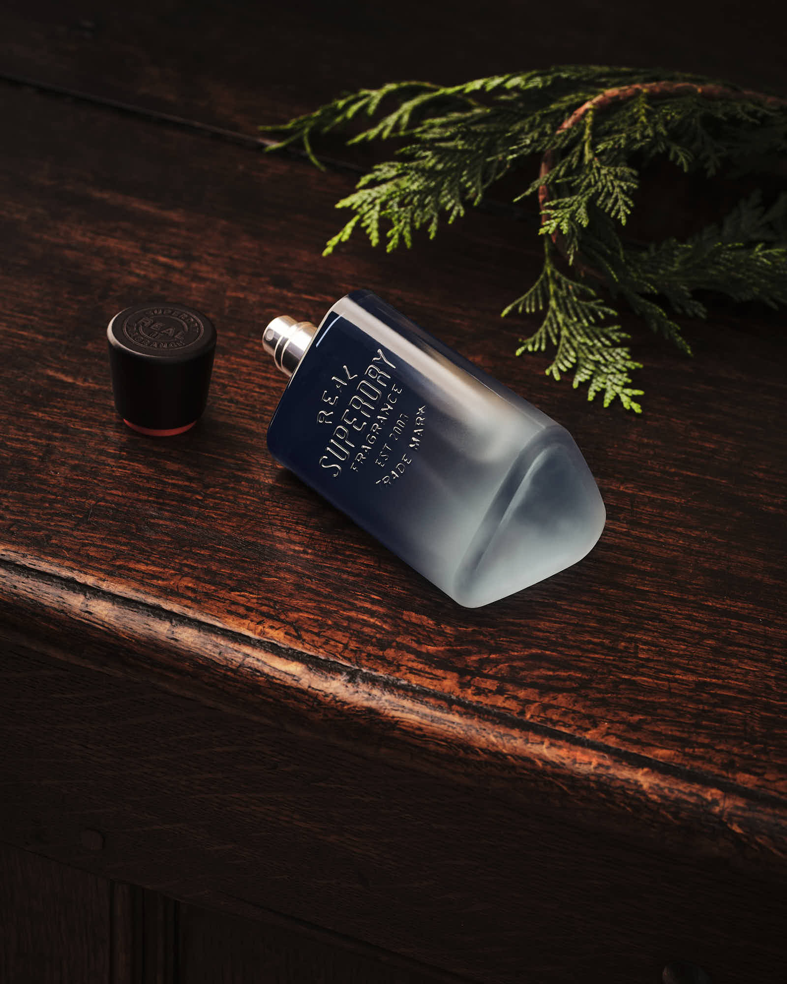 A perfume bottle and a small cup sit on a wooden surface, accompanied by a sprig of greenery. Soft natural lighting.