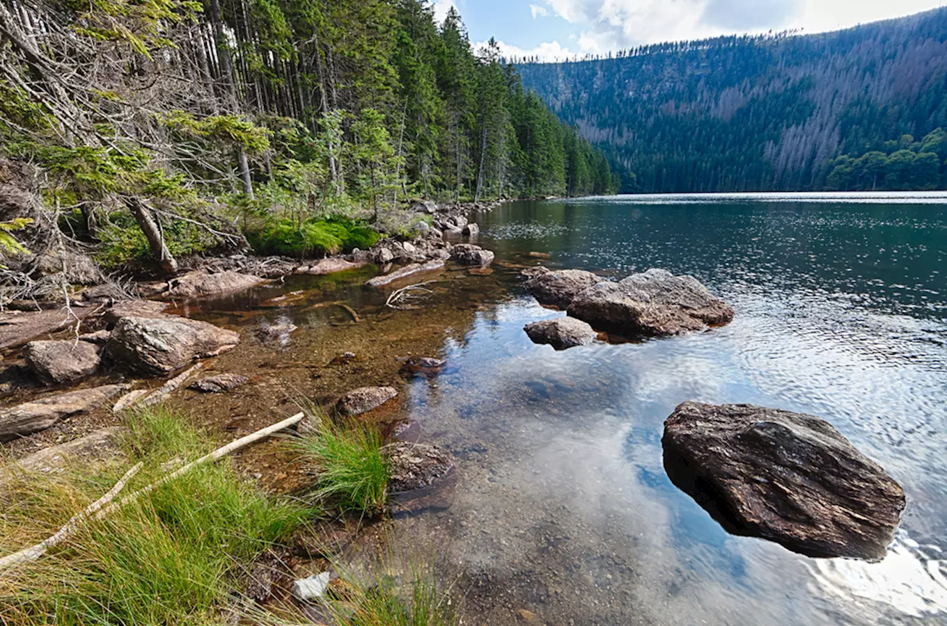 Here comes the alt text