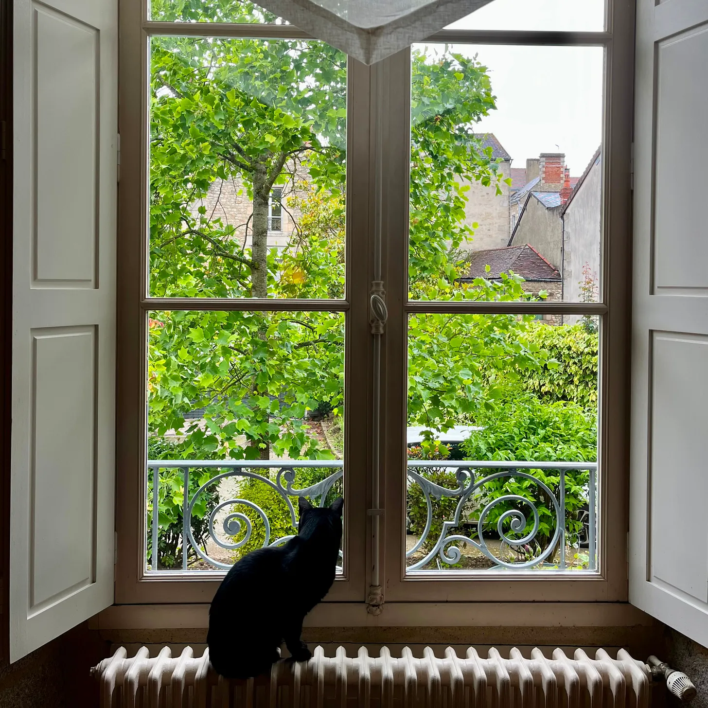Interior shutters are a great, convenient solution for blocking solar radiation