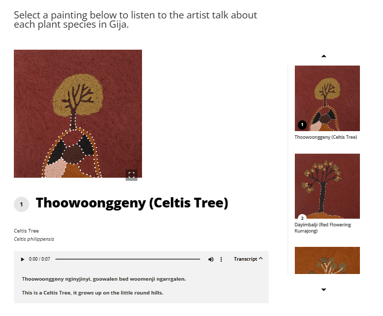 Custom WordPress Multimedia Gallery