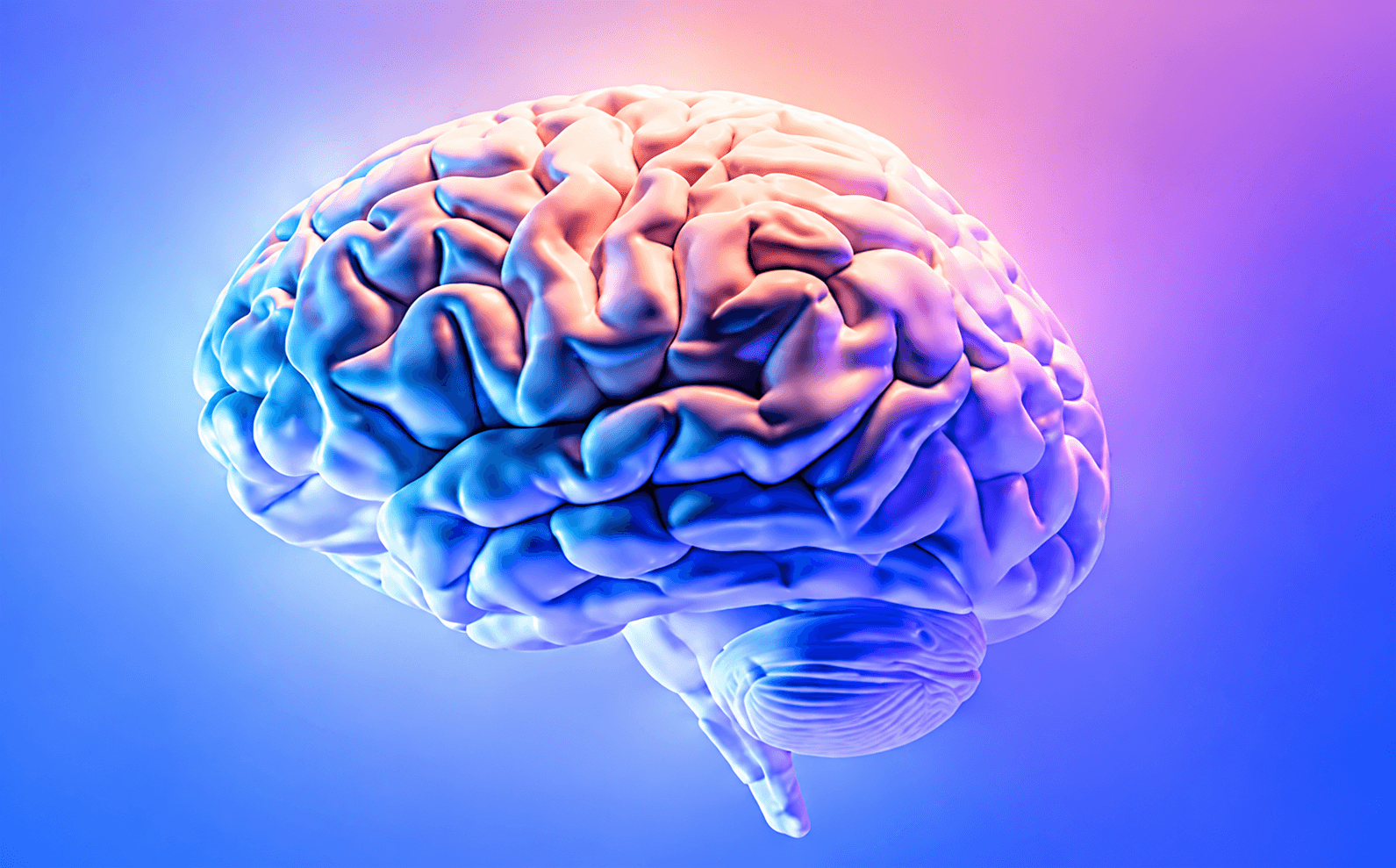 Neurociencia cognitiva y Neuropsicología