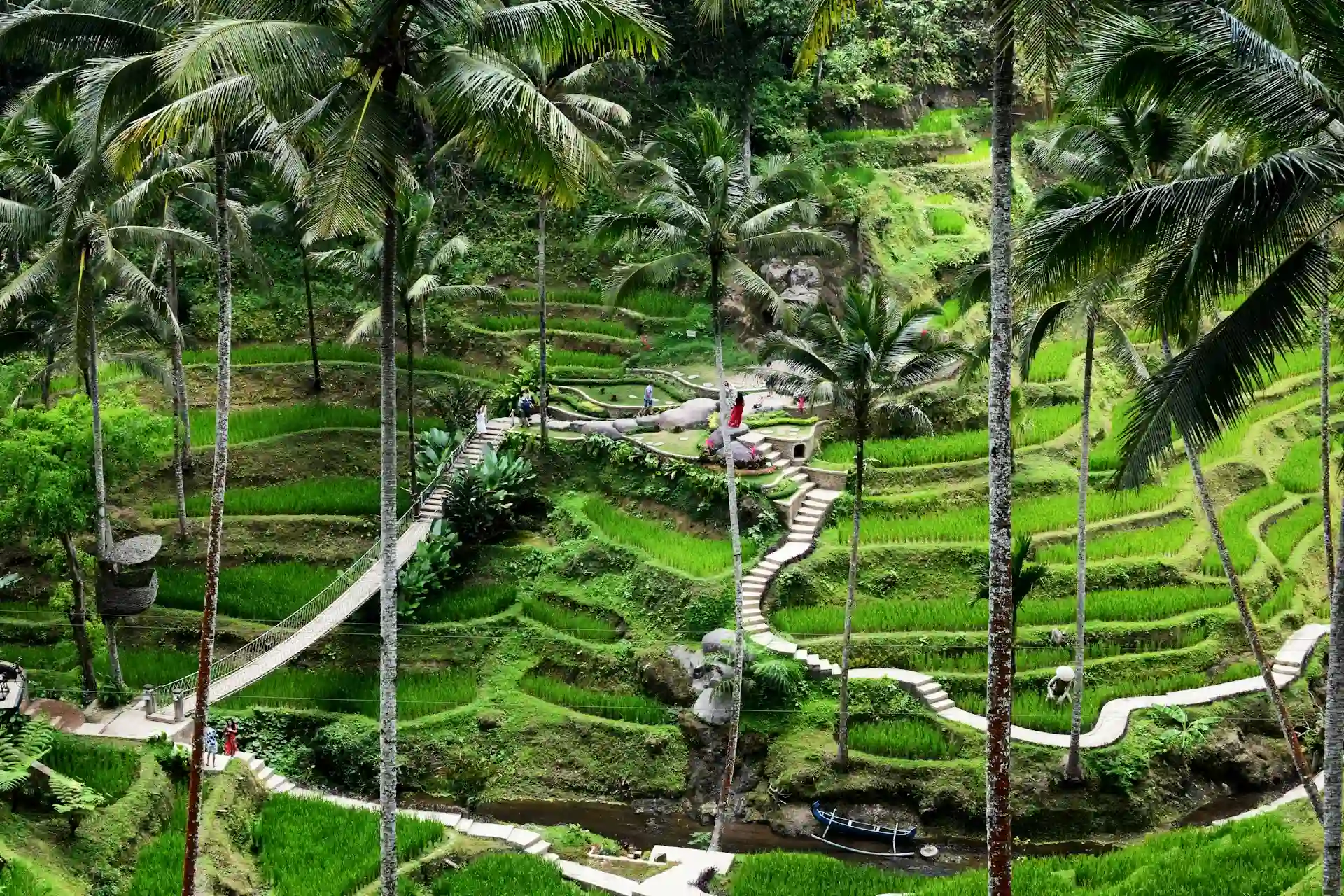 guide to travel ubud