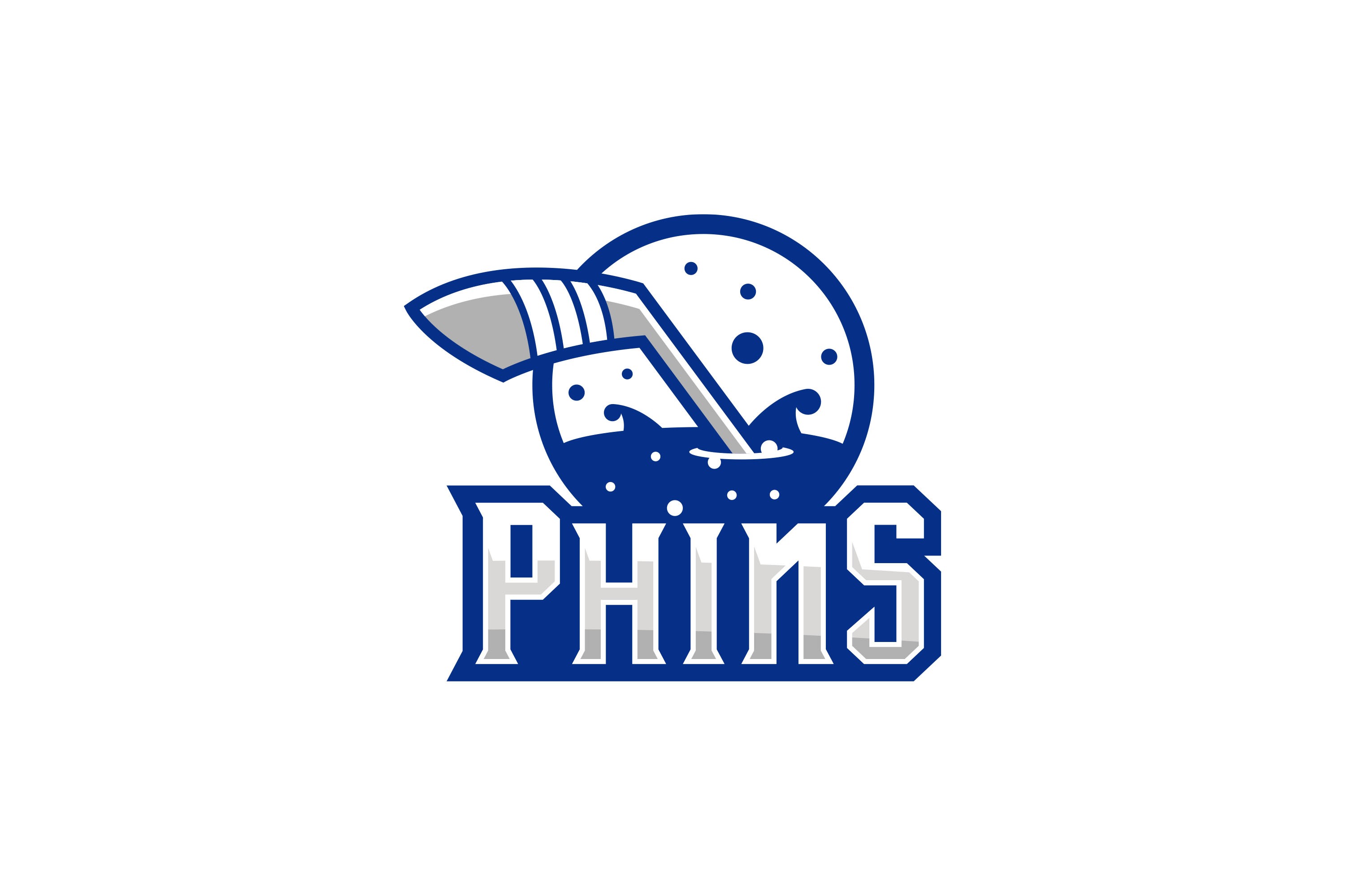 Etobicoke Dolphins alternate logo