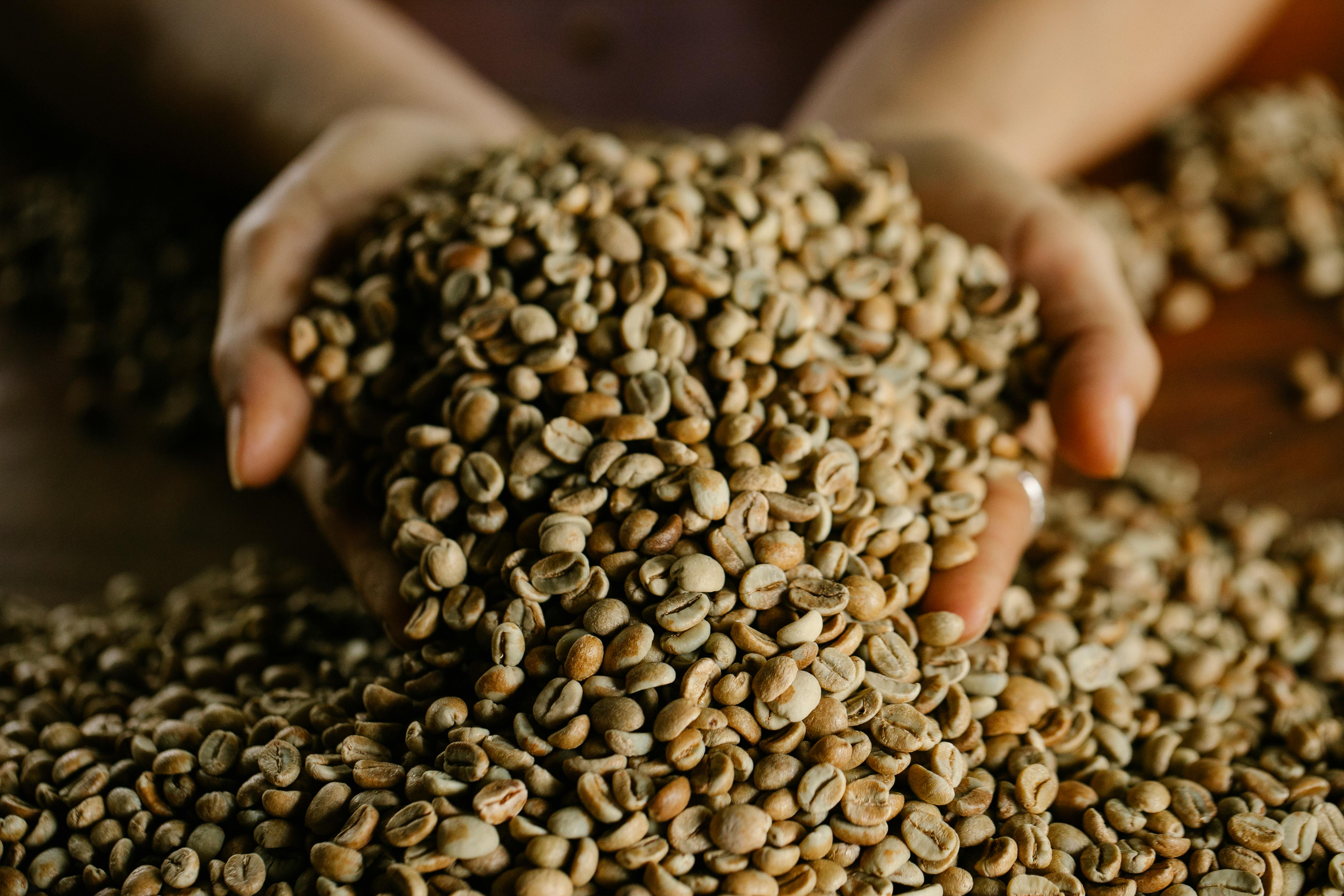 Arabica – Honey Processed Coffee beans