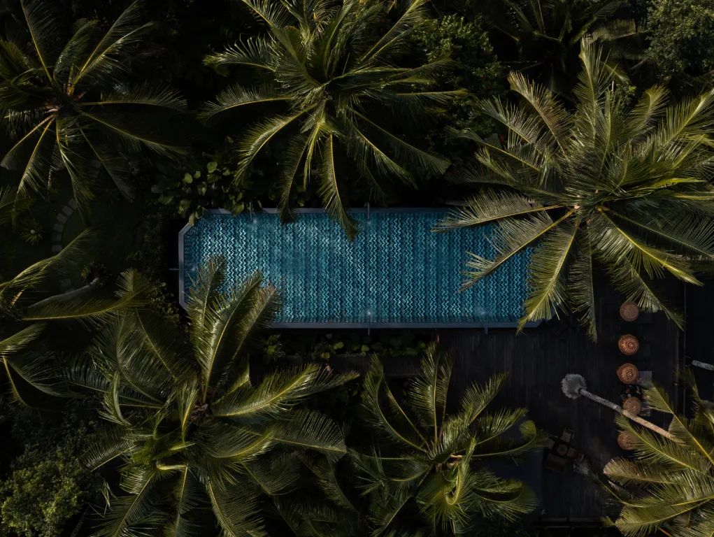 Front view of a modern wooden architecture building on grass with blue sky.