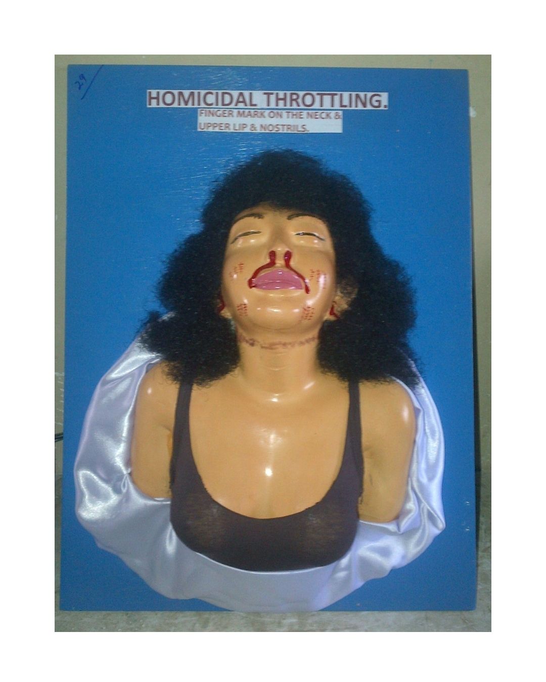 Mummification Model