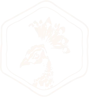 Mangal Mezze & Grill: Pfauen-Logo für türkisches Restaurant & Mezze Saarbrücken.