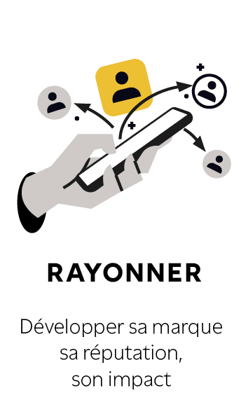 Close-up of a tree stump showing growth rings and a textured brown wood surface.