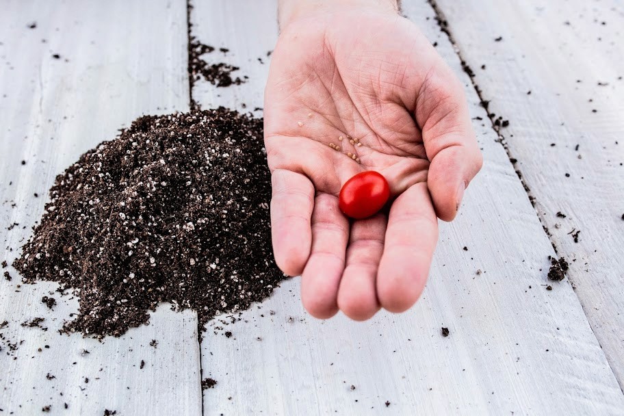 Hand holding grape tomatoes with fresh soil, representing Kentucky Fresh Harvest’s farm-to-hand process