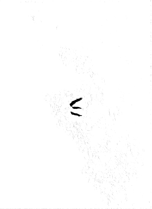 Doodle a mano di Federico De Servi