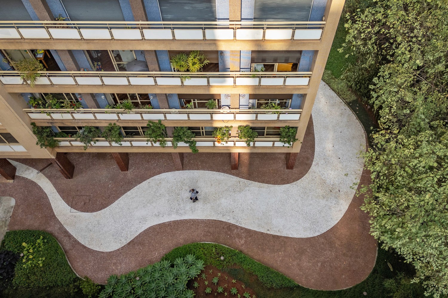 Drone view of the garden