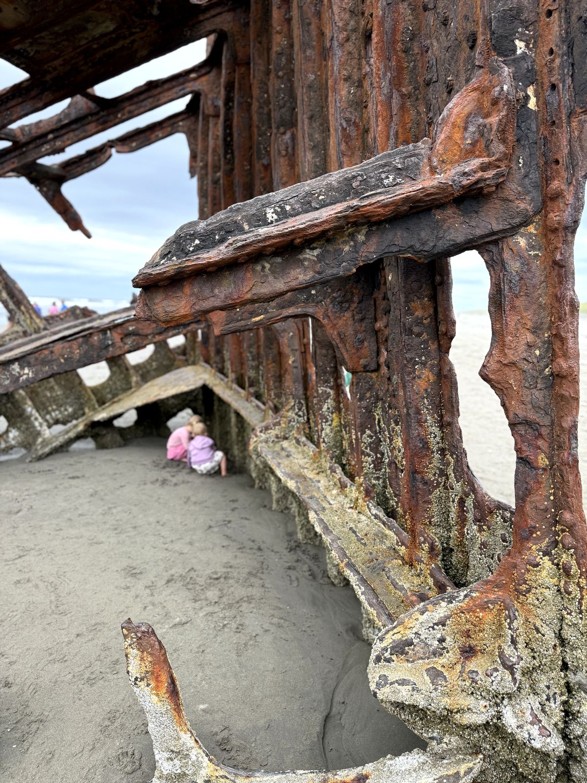 The rusted skeleton of the Peter Iredale shipwreck on the beach
