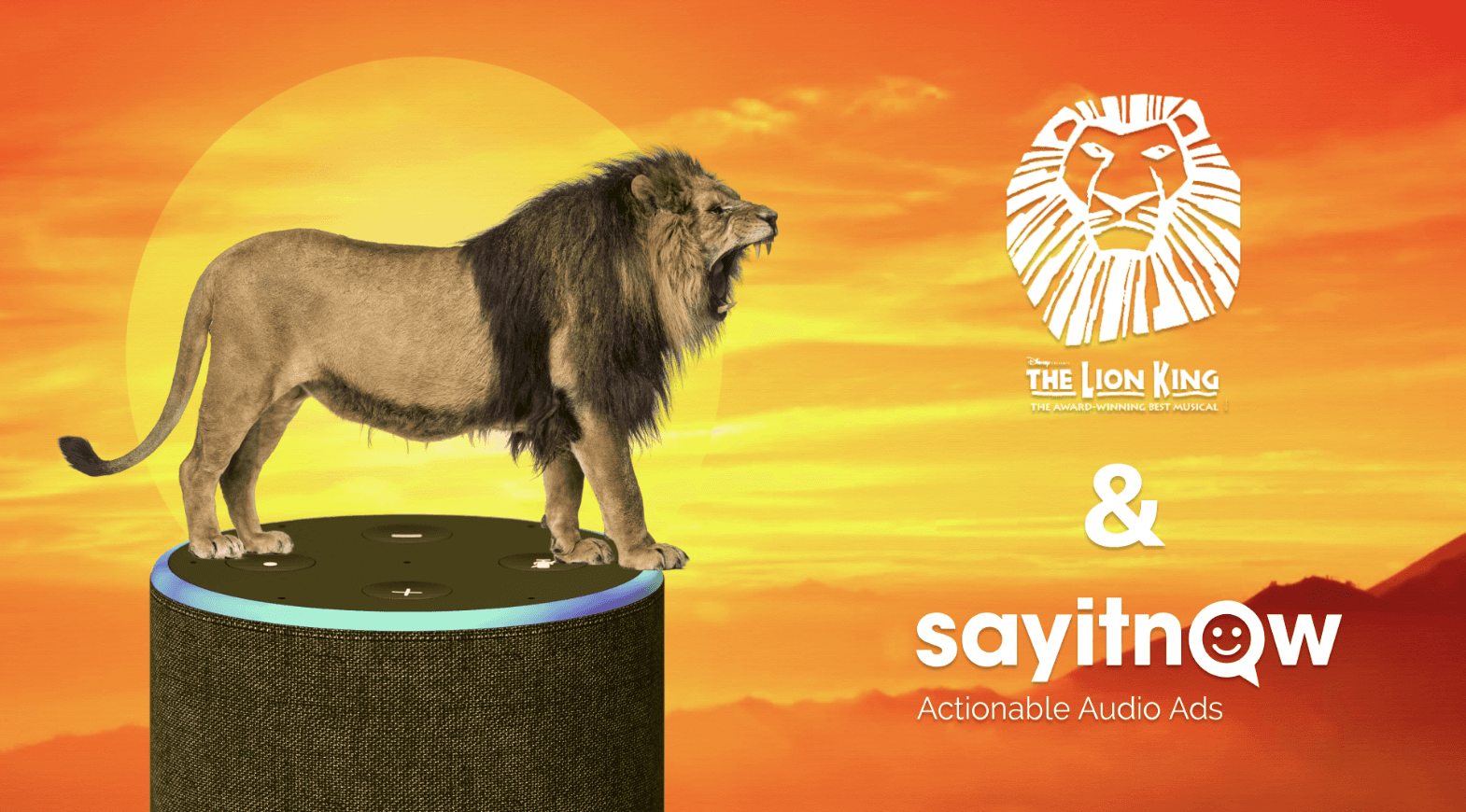 OVO Voice Experience