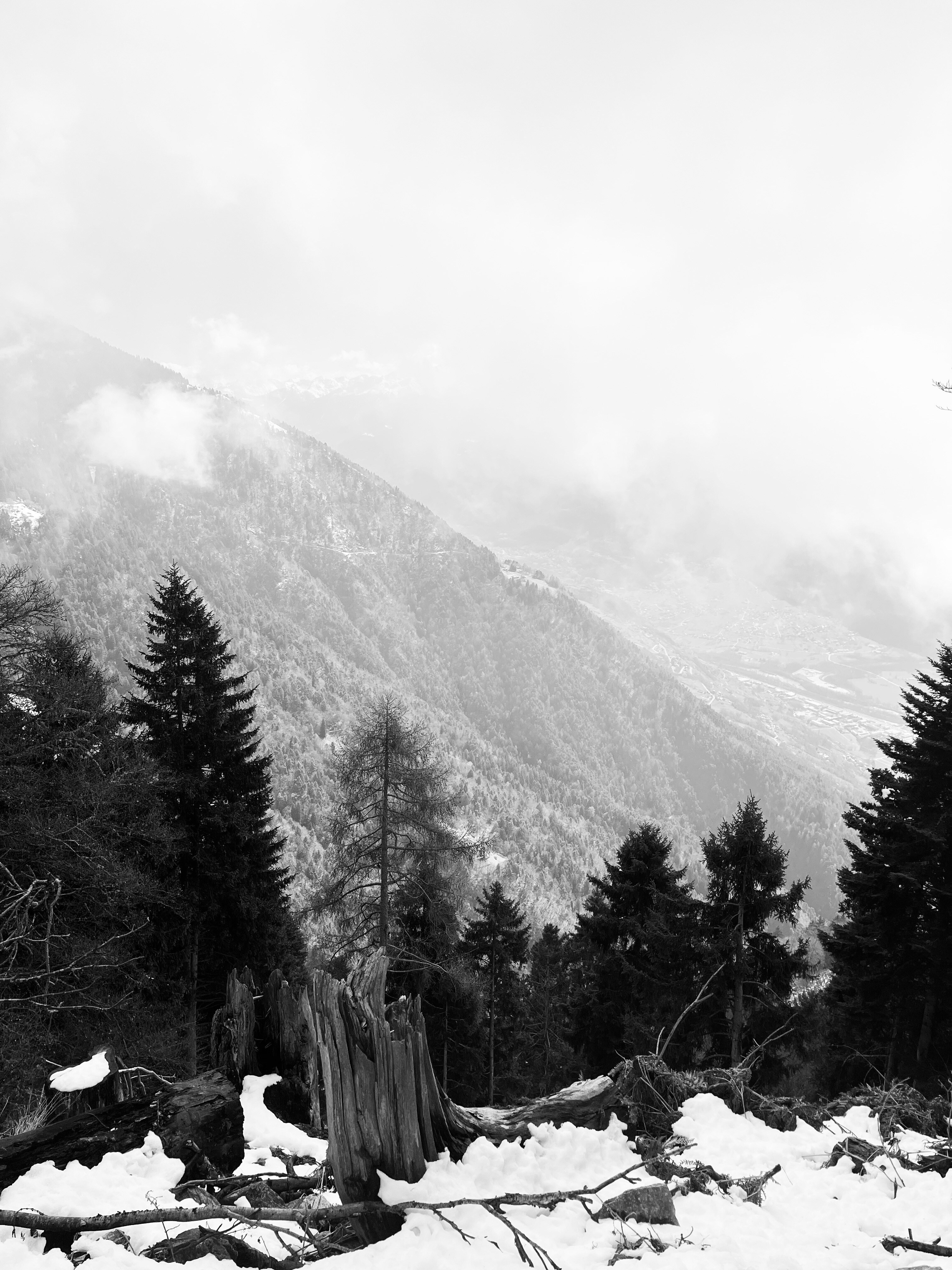 Luc Nijman - Making Ecology the Path of Least Resistance Through Innovation