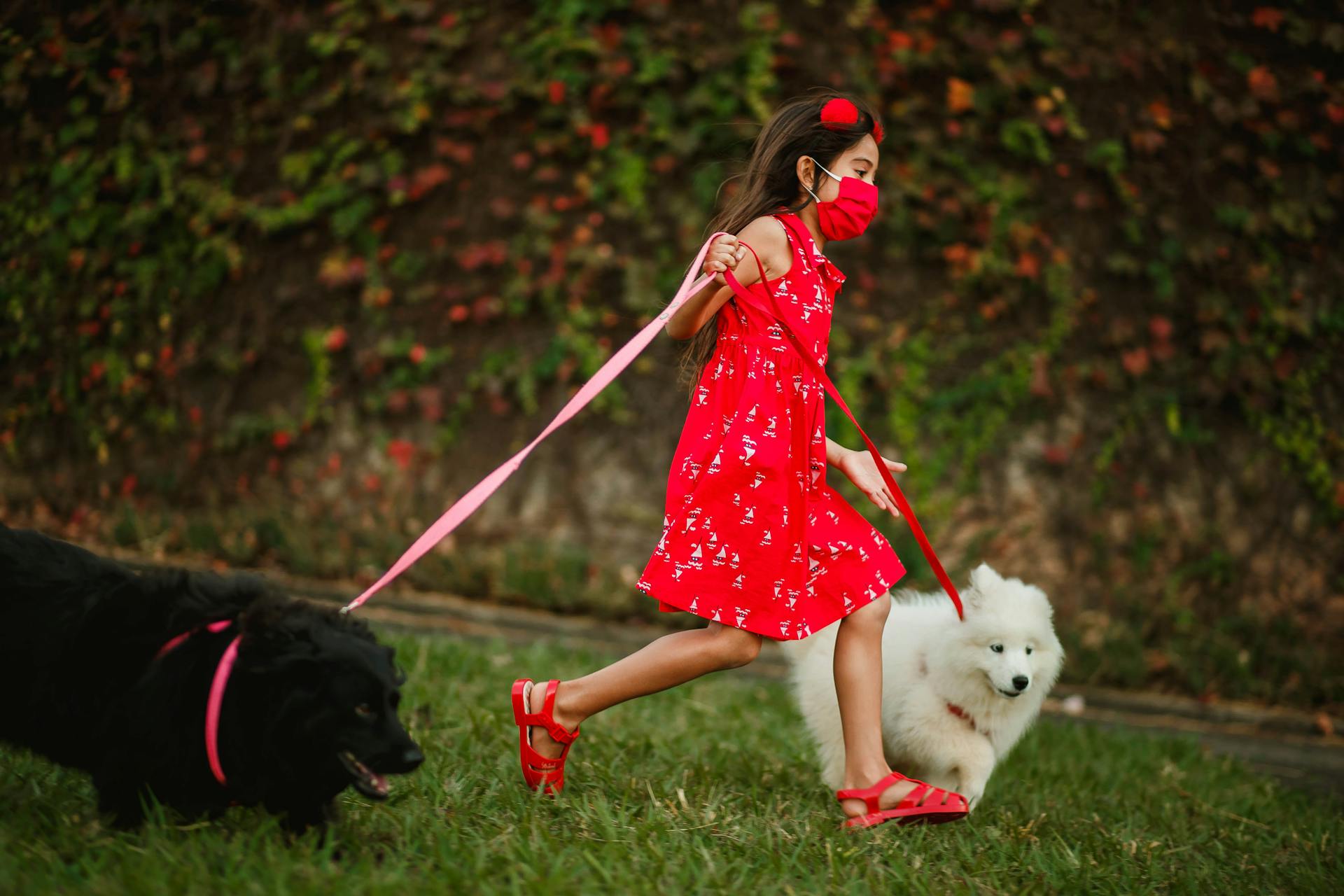 A girl in a red dress is running on the grass with two dogs on a leash.