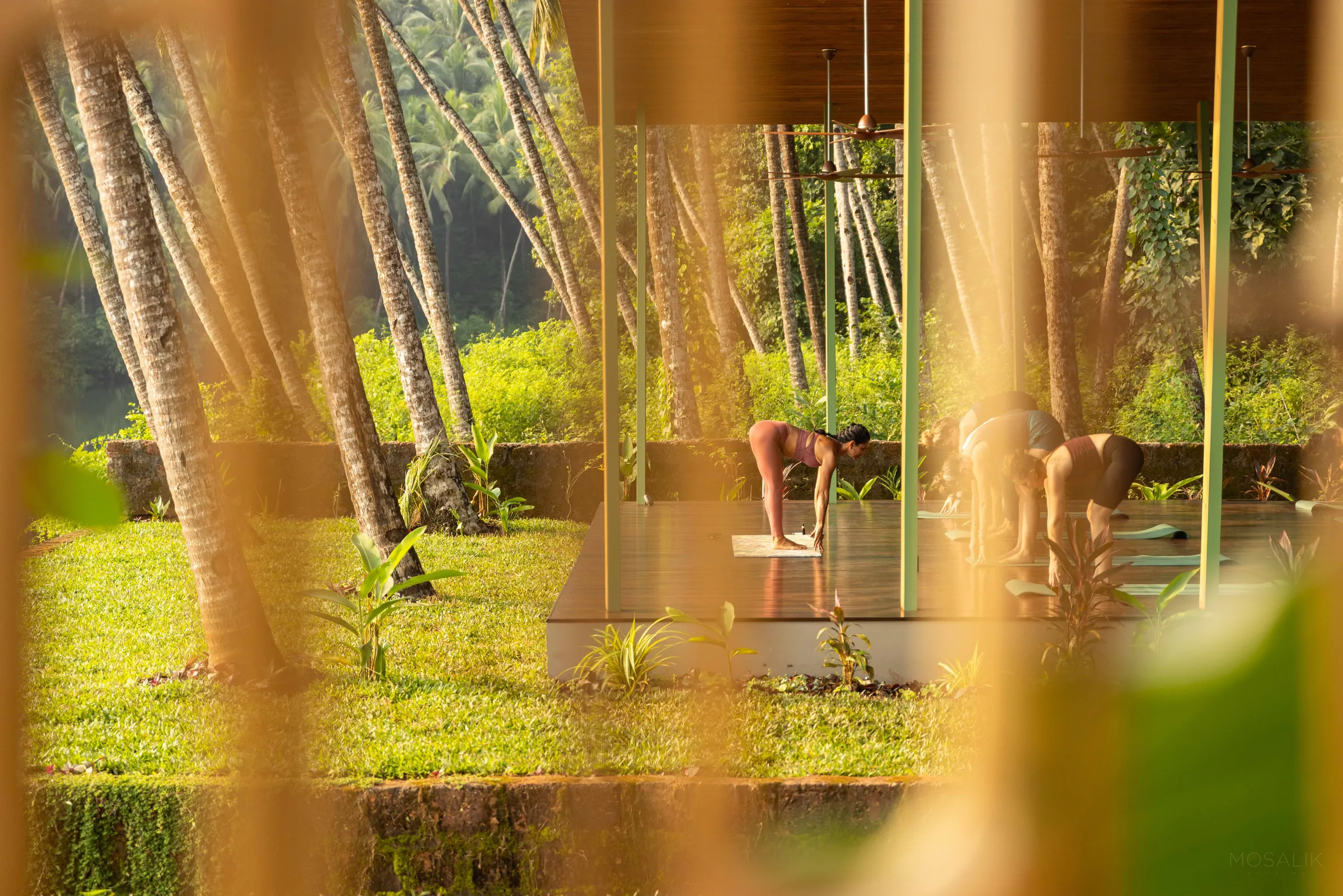 Yoga class in golden morning light, glimpsed through the garden foliage at Jaali River Sanctuary