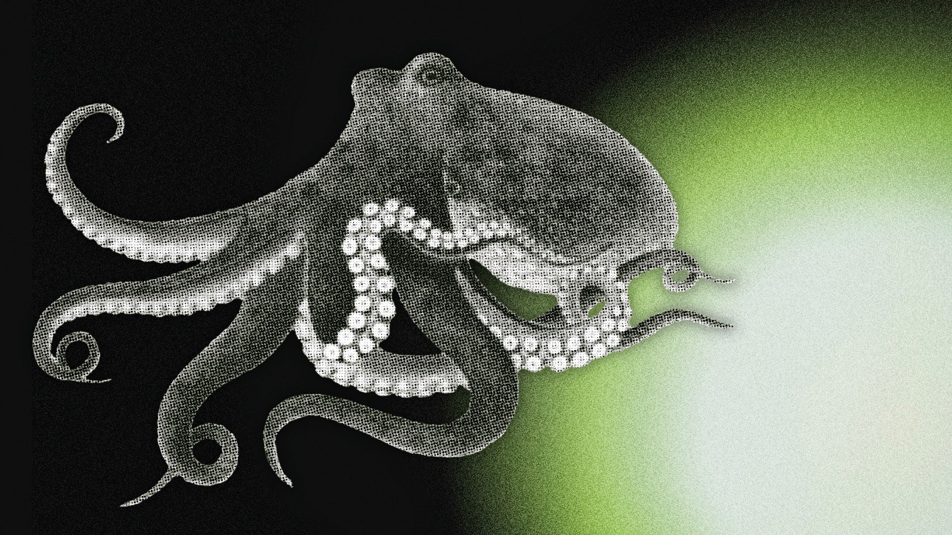 Oktopus - als bildliche Metapher für das Angebot Future Experience