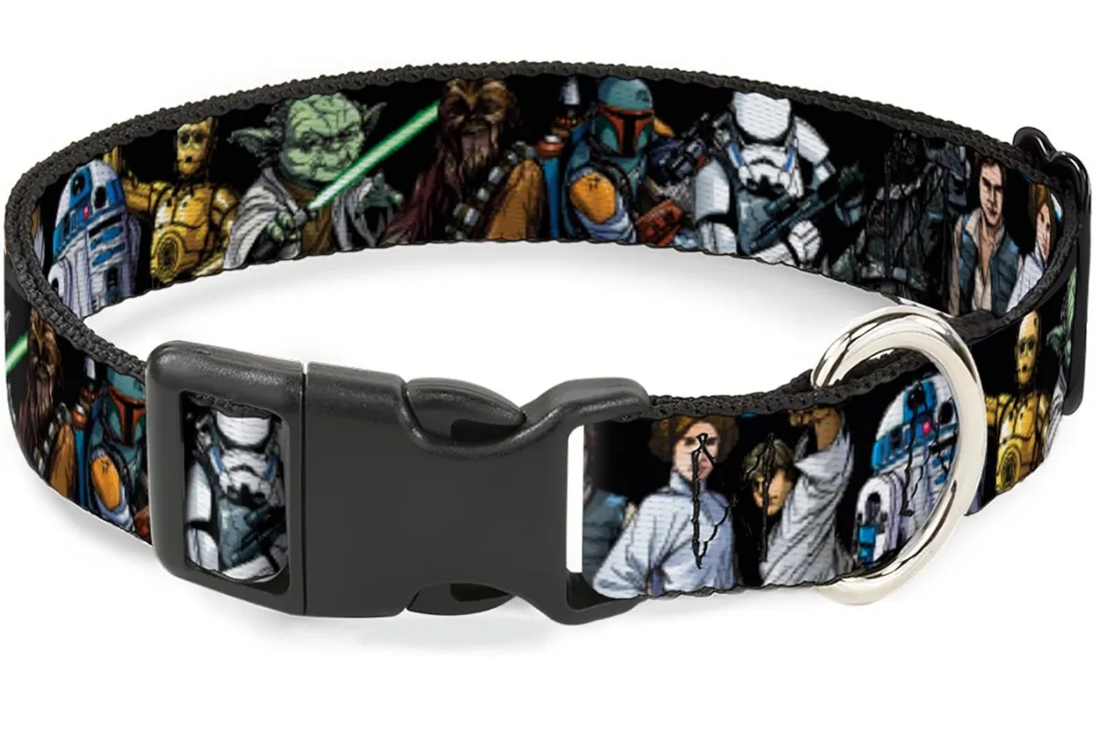 Star Wars-themed pet collar.
