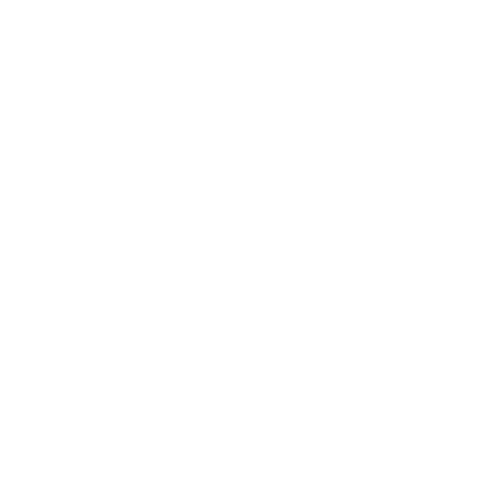 Crossip Logo White