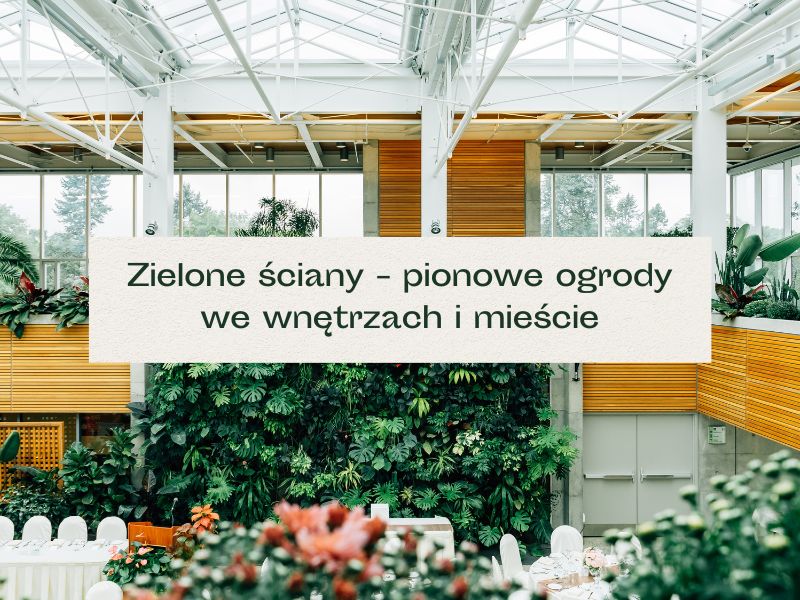 Zielone rośliny do kuchni na wymiar w Warszawie które przetrwają wszystkie warunki