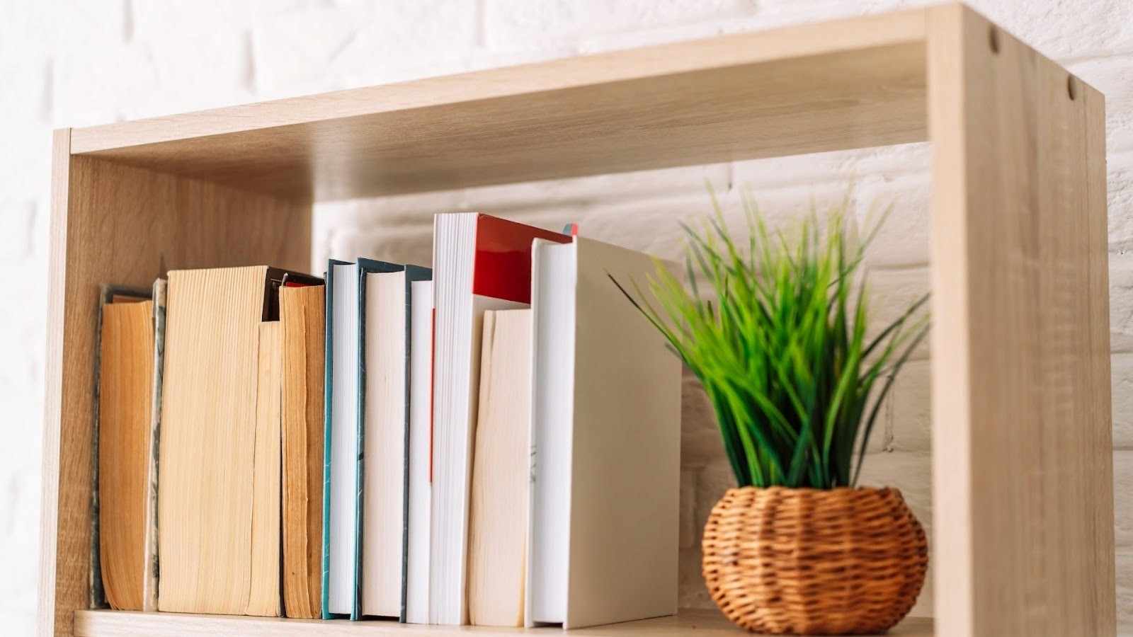 Add Bookshelves for Dual Purpose