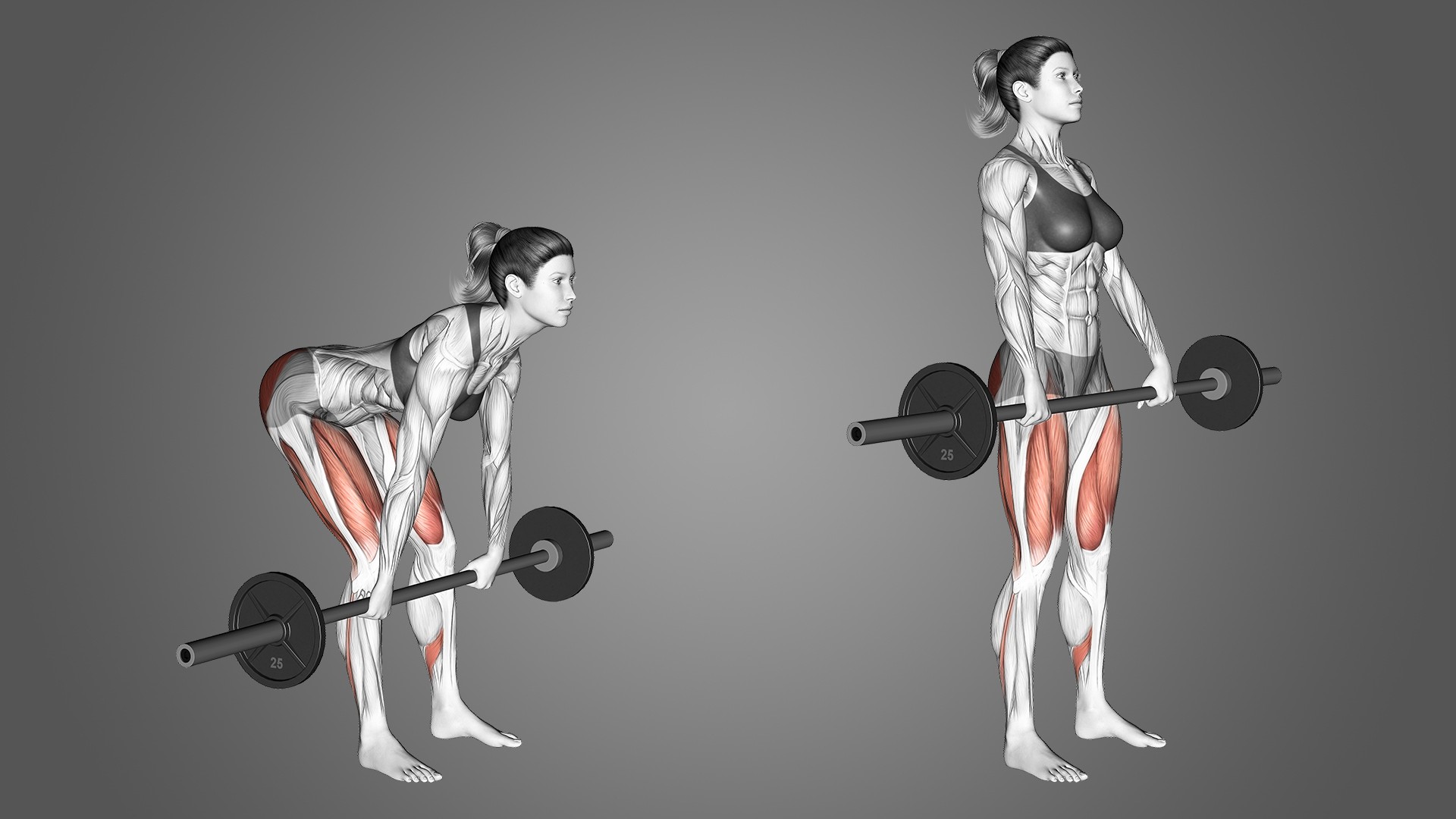 Kinesis Integrated On Romanian Deadlifts