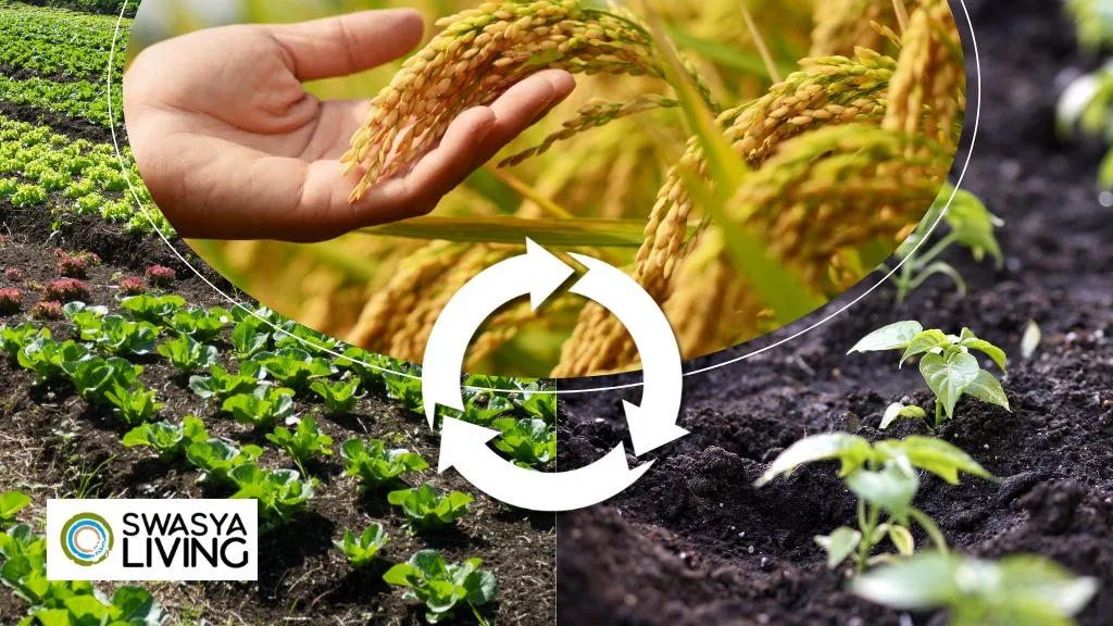 Advantages of Crop Rotation