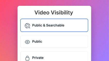 video visibility