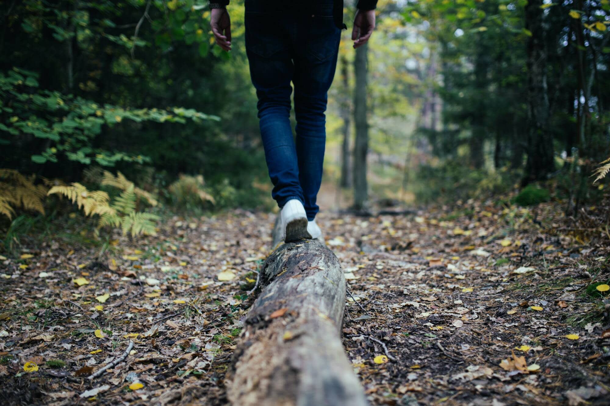 Ruta de senderismo en el bosque de Pontevedra - Senderismo en Galicia cerca de Arbo