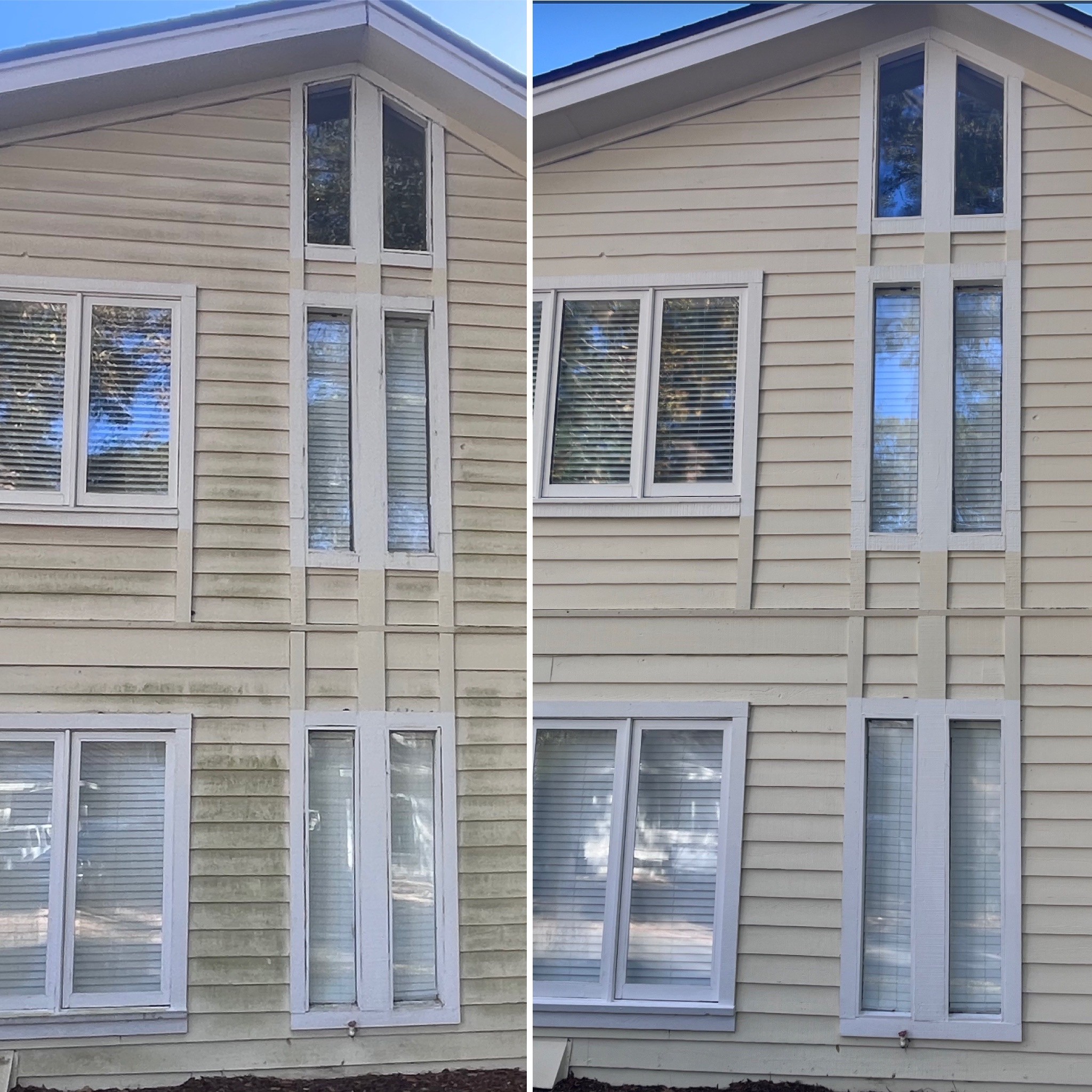 Before and after—home siding soft washed, surface free from algae and grime