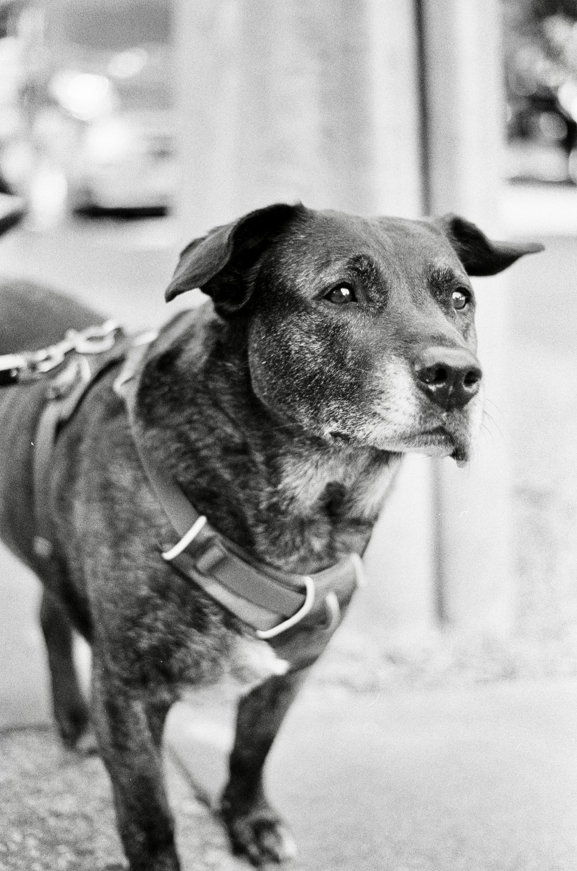 a person standing in front of a building