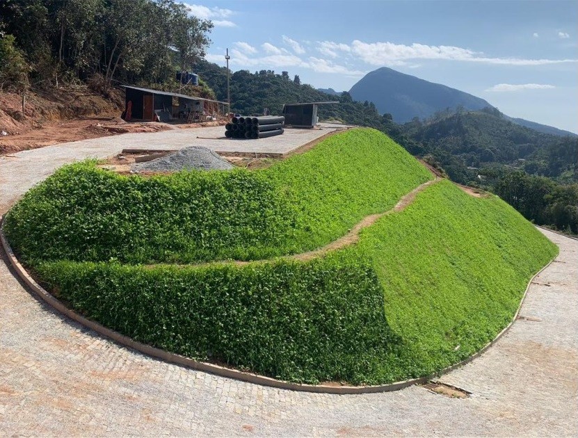 a lush green hillside covered in lots of trees