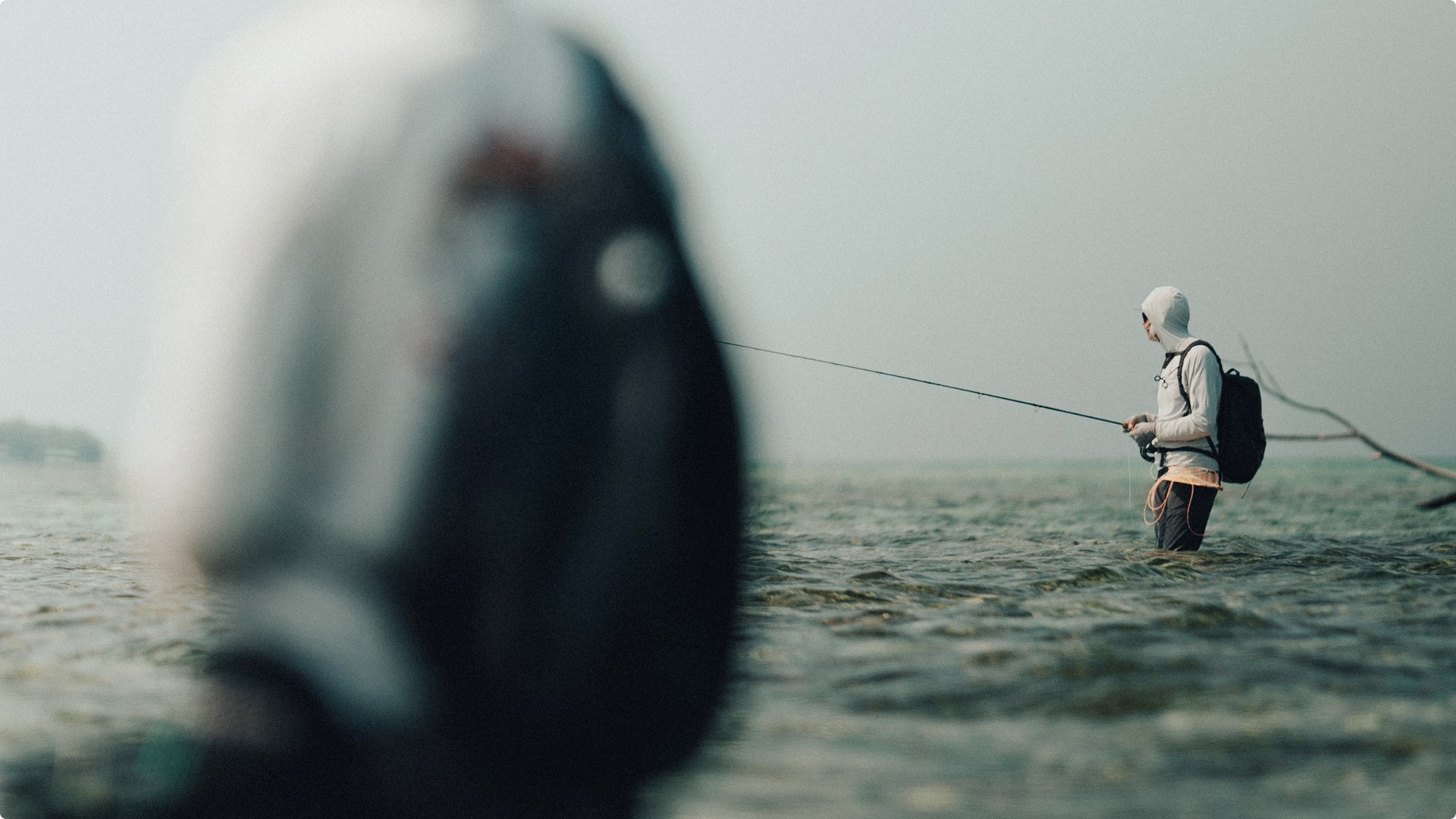 Two anglers vading, looking for bonefish and permit in skinny water